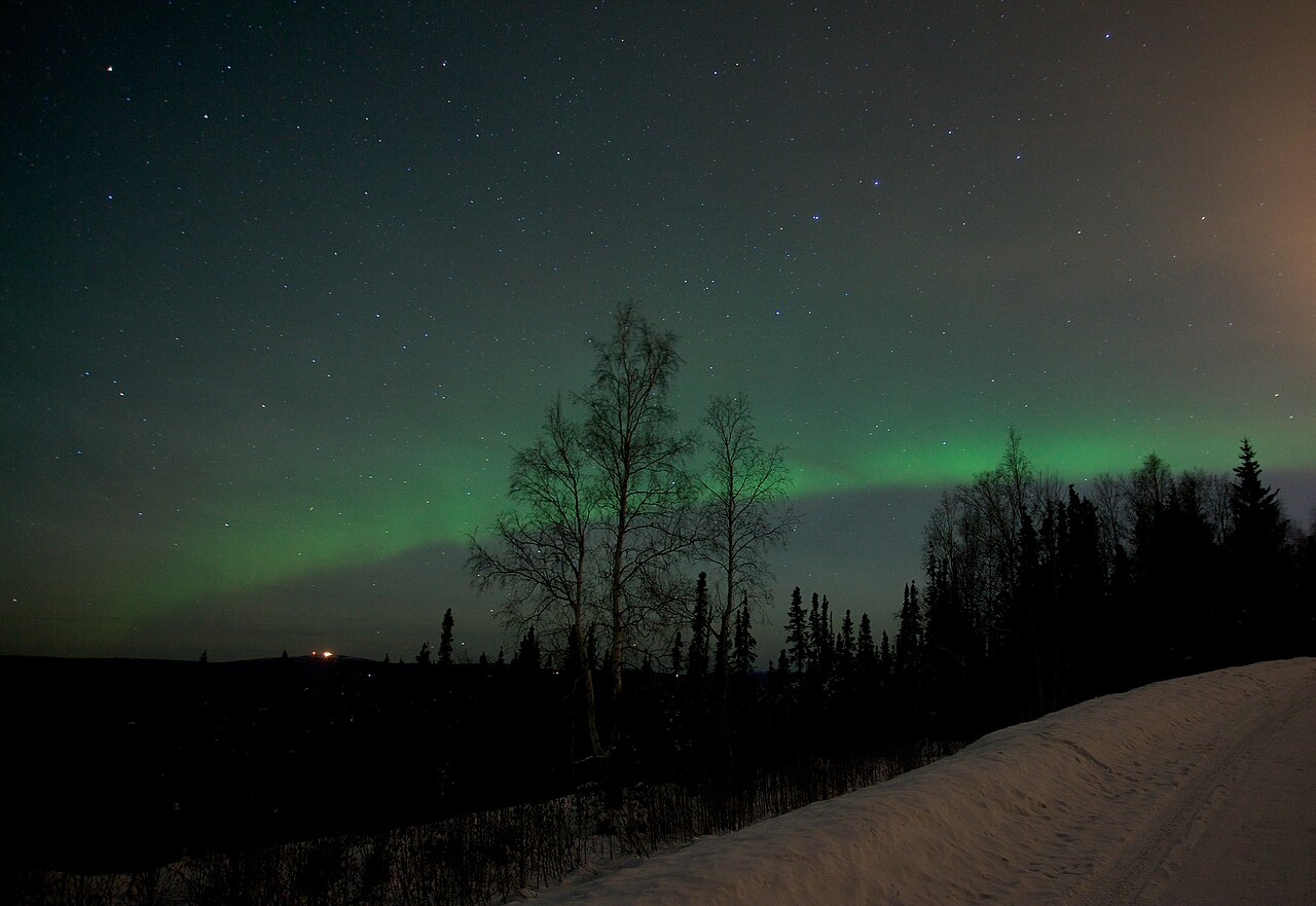Simulated by-eye view: a low green aurora arc over snowy birch and spruce forest on a quiet night
