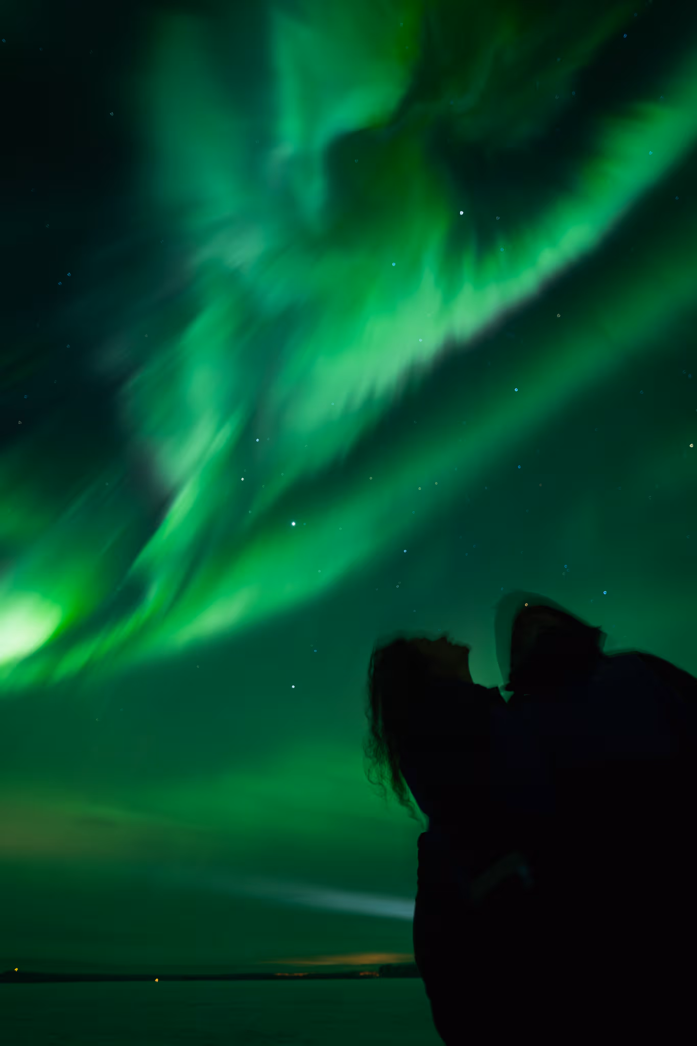 Guests silhouetted beneath green aurora