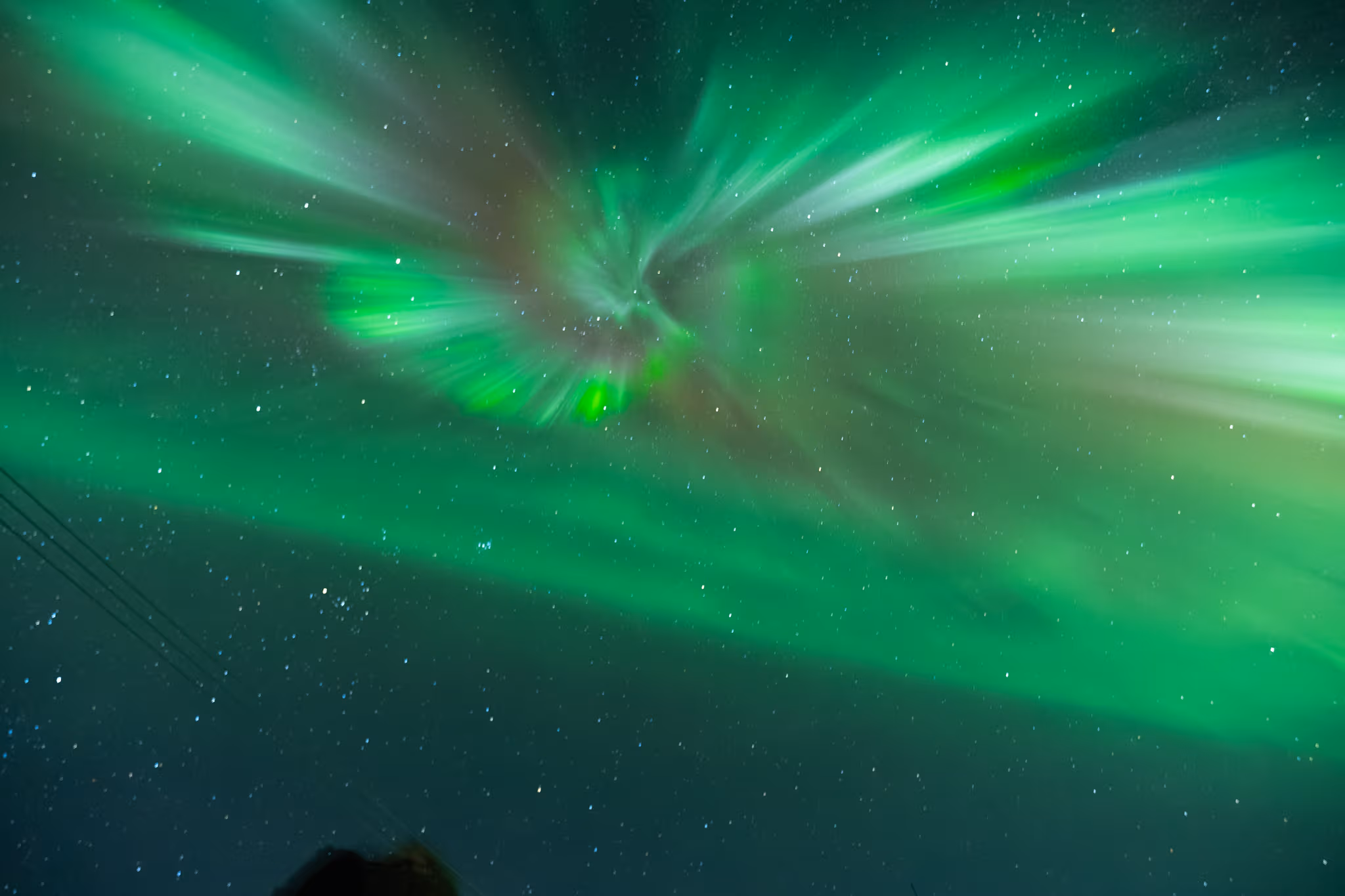 Aurora boreal sobre uma floresta da Lapônia