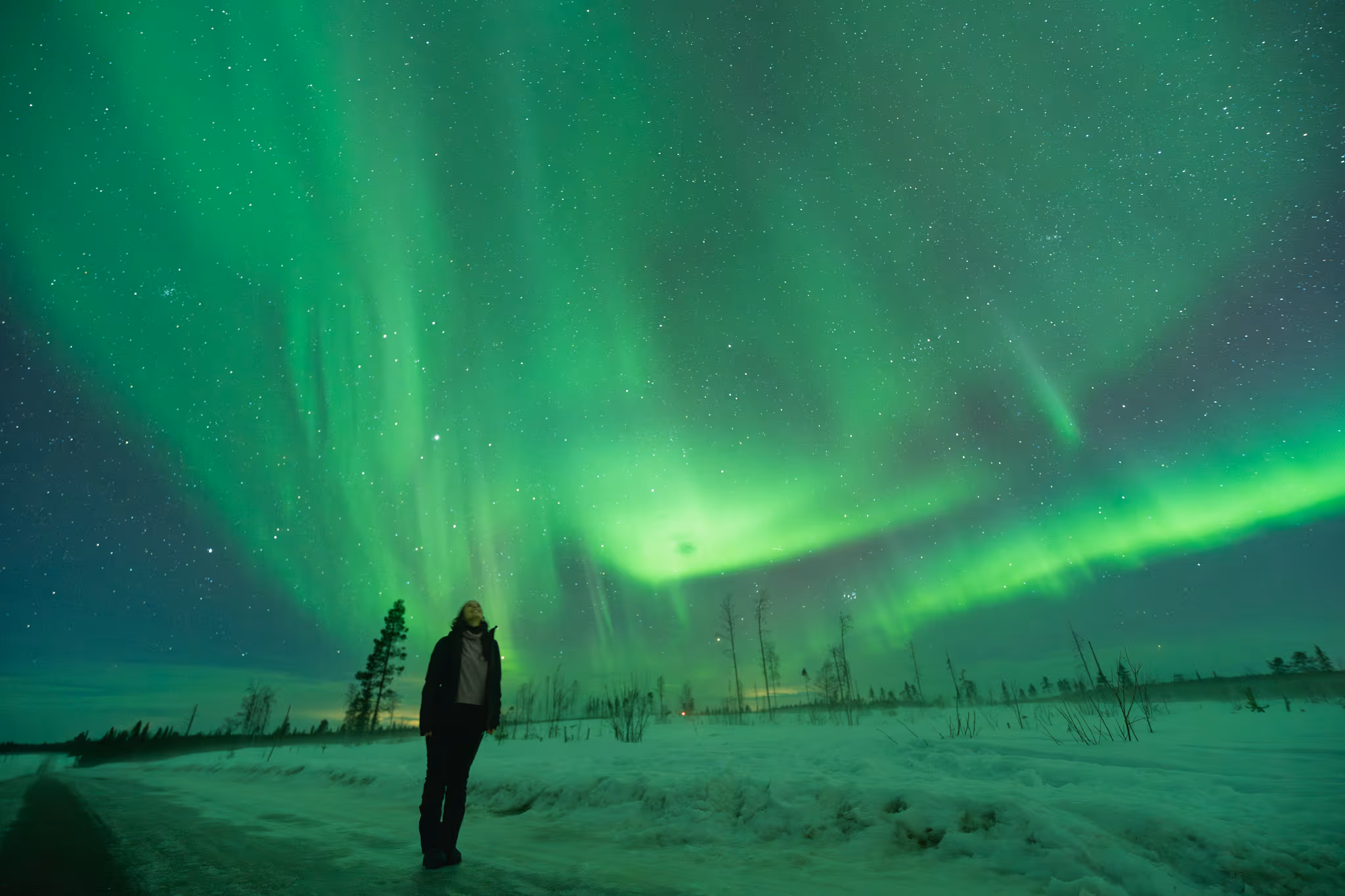 Guest watching the aurora across a snowfield