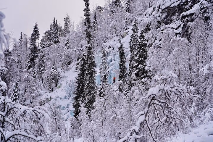 A frozen waterfall among snow-covered trees in Korouoma canyon