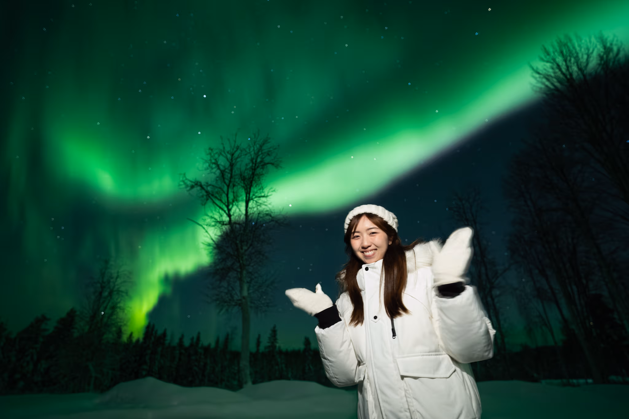 Lapland Explorersの実際のオーロラ写真