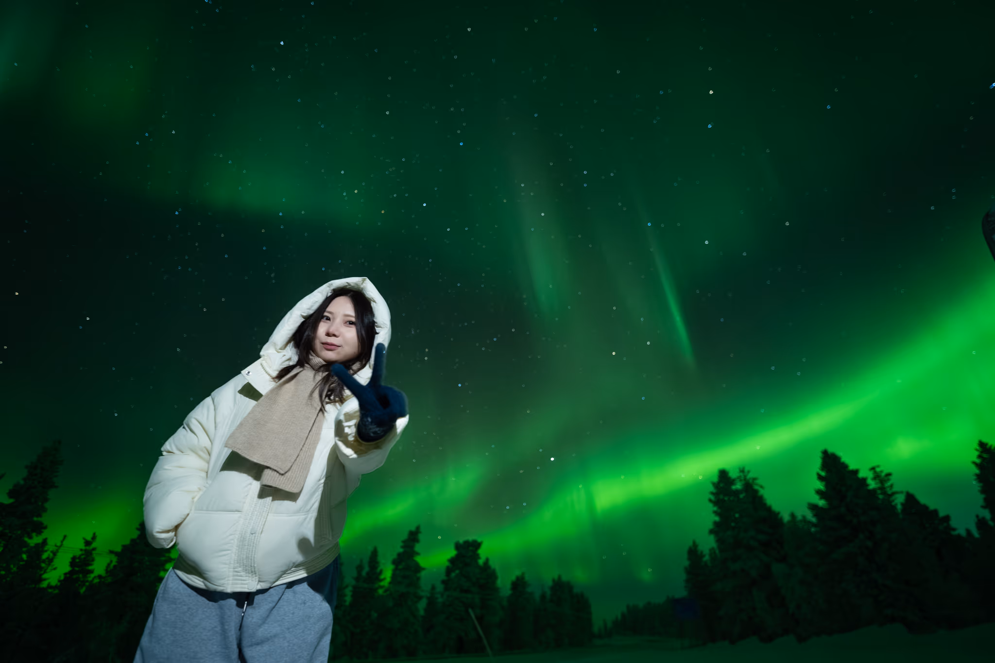 Lapland Explorersの実際のオーロラ写真