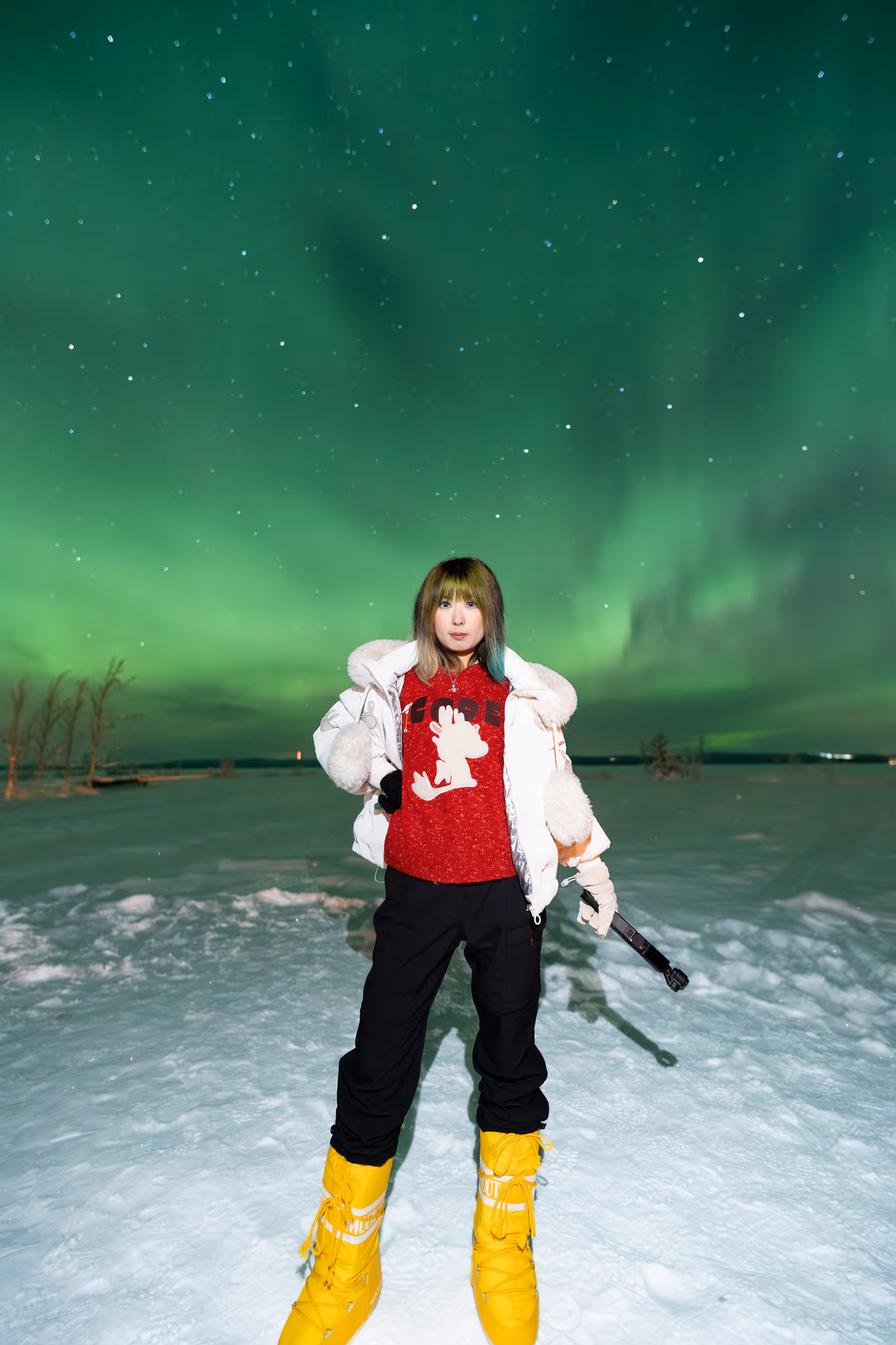 Lapland Explorersの実際のオーロラ写真