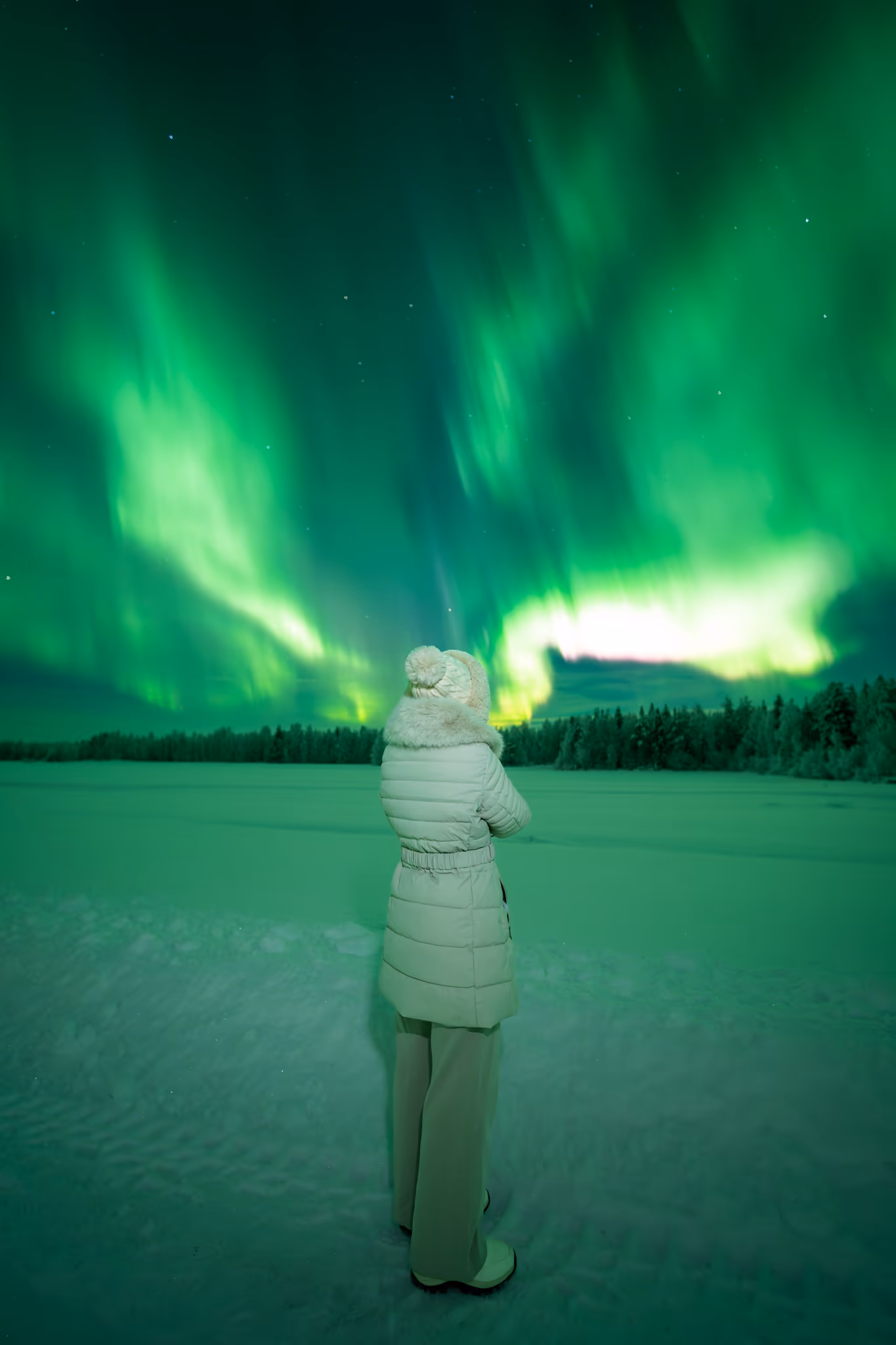 Lapland Explorers 實際極光行程照片